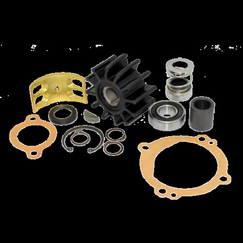 Pump repair kit Sherwood 12937 Pump repair kit Sherwood 12937